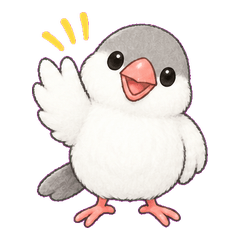 Peruno Fluffy Java Sparrow Daily Talk