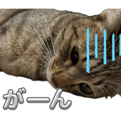 Okumari_20260813163332