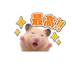 Shota_20260813205945