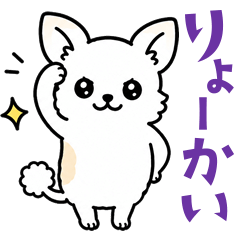 Cute Chihuahua Daily Conversation