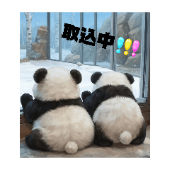 PANco_20260813165944