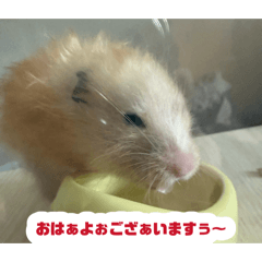 Yukikio_20260813172711
