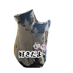 Hana_20260813180120