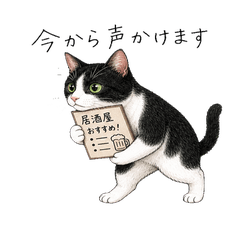 Izakaya Cat Staff Chat Stickers 40