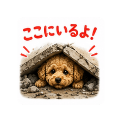 usastamp_20260813200247