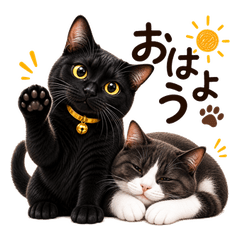 Cool Black Cats Bibi & Nana
