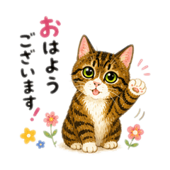 mayu_20260813165632