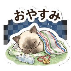 marathon cat