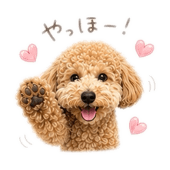 Saya_20260813225431