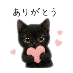 Mimo the Black Cat 4