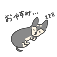 my favorite dog(1)
