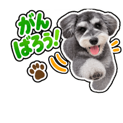sunasuta_20260813192052