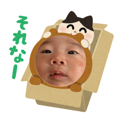 Momo_20260813232321