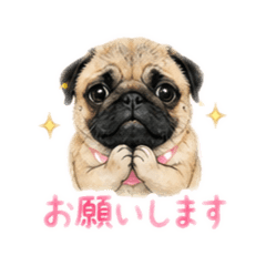 DAIGORO_20260813204838