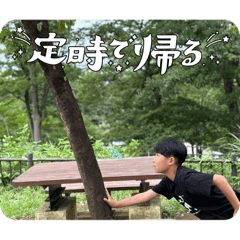 krs_20260813235054