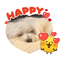 chinz_20260813235034