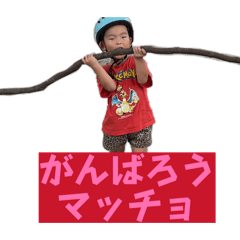HANA_20260814034637