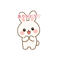 hana_20260814042709