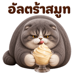 Mochu the Lazy Grumpy Cat