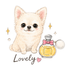nomuberry_20260812120550