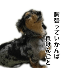 haru_20260814131509