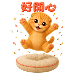 瑪姆橘貓的立體氣球日常❤️ (TWN)