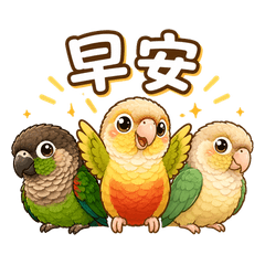 Cute Conures' Daily Life