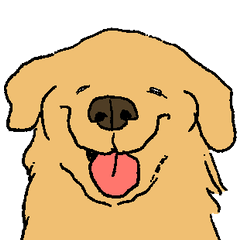 An expressive golden retriever