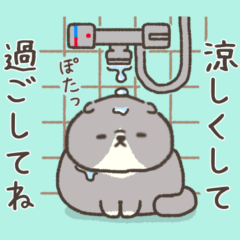 ☆とろけるネコの夏☆スコティッシュ1