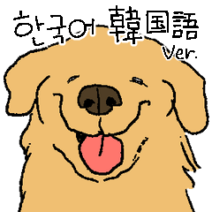 An expressive golden retriever (Korean)
