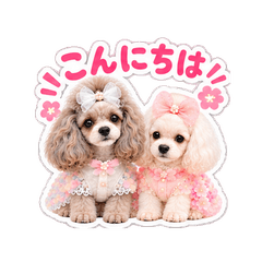 ROSE&LUNA 1st
