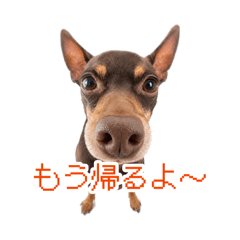 我爱我家人
