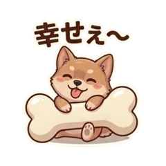 Pankun_20260814001108