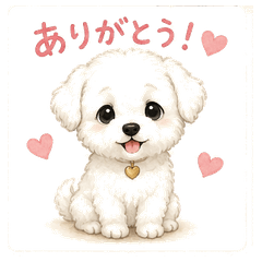Little White Dog's Daily Phrases