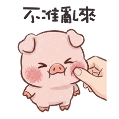 pig pig cute 5L