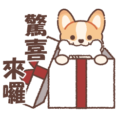 柯基寶寶日常 傳達情意貼圖