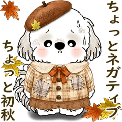 Moving Shih tzu 2026 (A bit negative)