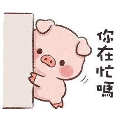 pig pig cute 7L.