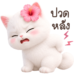 ❤️แมวขาว ดอกชบา❤️