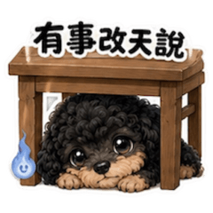 小妞妞的鬼月嘴替日常