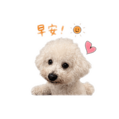 Didi friends love