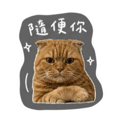 零元購跟三萬塊