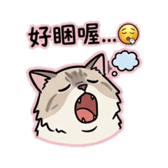 葉子家的lady