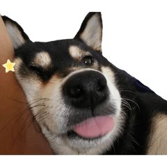Coffee的貼圖