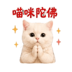 滾滾的修行喵語(一)