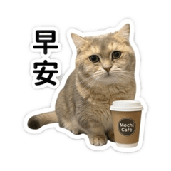 Mochi 喵喵