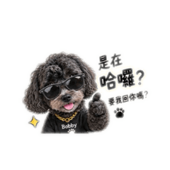 四爺Bobby