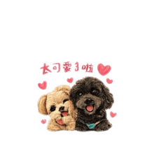 四爺&洛曦