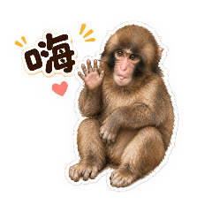 愛胖醬❤️