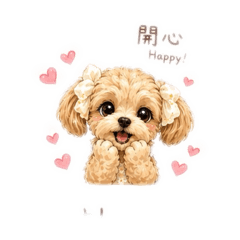 「風」一樣的Bonie